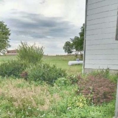 North front lawn before the cleanup