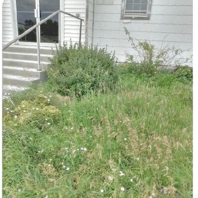 South front lawn before the cleanup