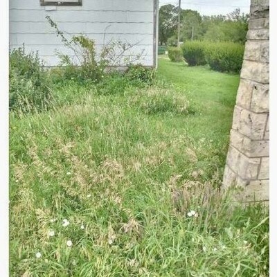 South front lawn before the cleanup
